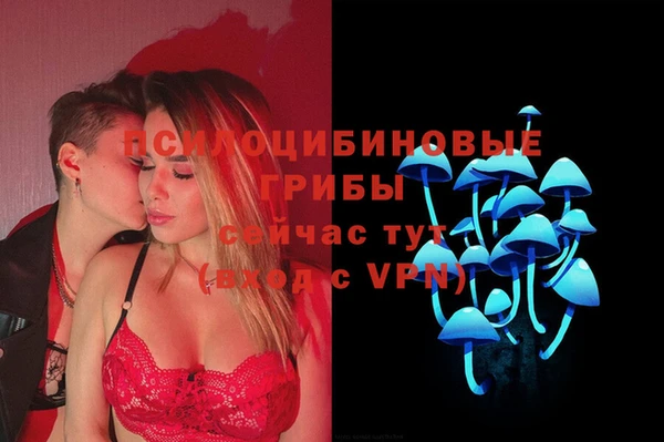 PSILOCYBIN Чердынь