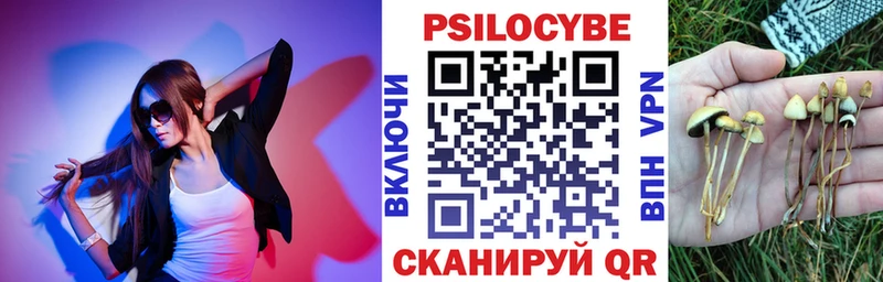 Псилоцибиновые грибы Cubensis Оха